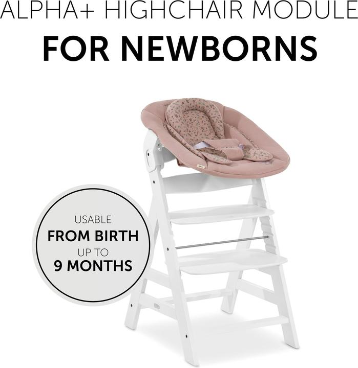Produktbild Hauck Alpha Bouncer 2in1 Bambi Rose