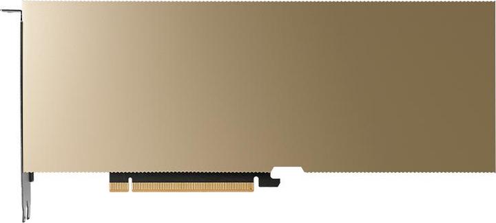 Actual product image PNY Nvidia L40 Module (48 GB)