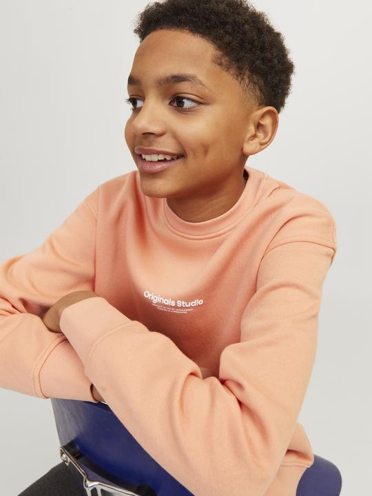 Produktbild Jack & Jones Jorvesterbro Sweat Crew Neck Bn Mni (122)