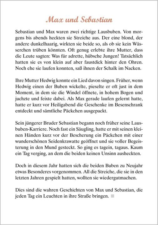 Produktbild Max und Sebastian (Deutsch, Linus Paul, 2016)