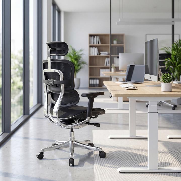 Actual product image Hjh Office Ergohuman Gen2 (45 - 56 cm)