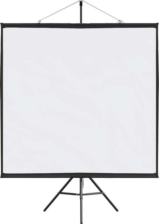 Actual product image vidaXL Projektionsleinwand (67", 1:1)