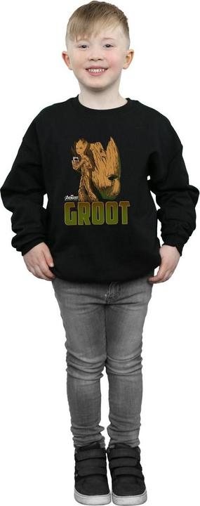 Produktbild Avengers Infinity War Groot Character Sweatshirt Jungen (152, 158)