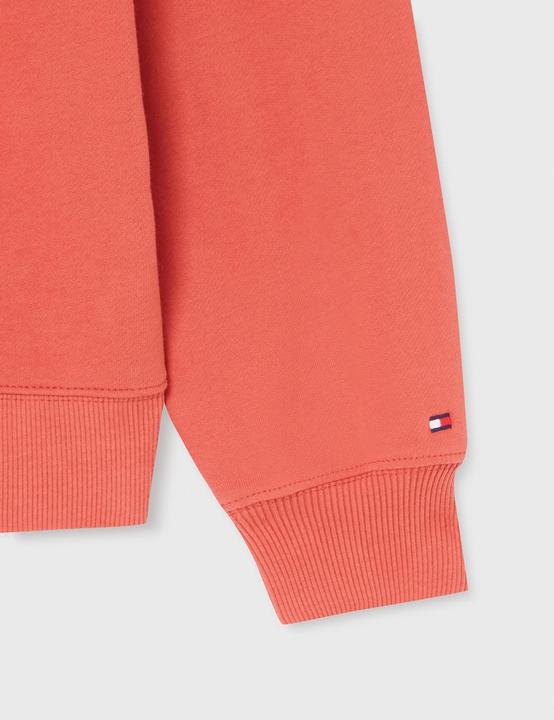 Produktbild Tommy Hilfiger Felpa Moderna Script Regolare CRV (48)