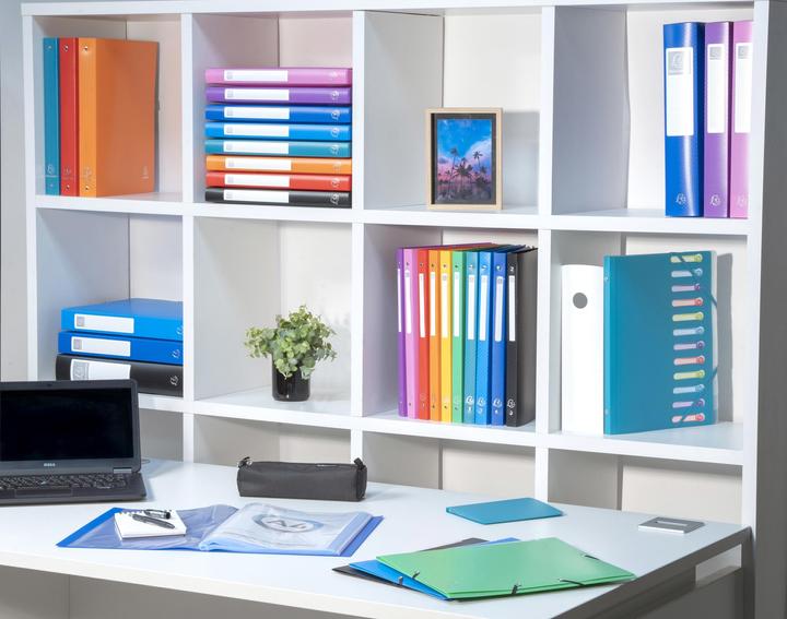 Actual product image Exacompta Display book PP pockets green (A4, 1 x)