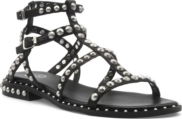 Produktbild Ash Precious (40)