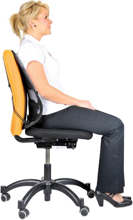 Image du produit Fellowes Soutien professionnel du dos