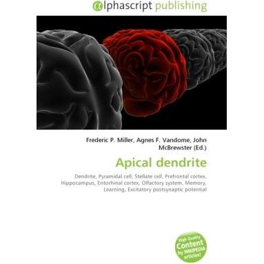 Apical dendrite, Fachbücher von Agnes F. Vandome, Frederic P. Miller, John McBrewster