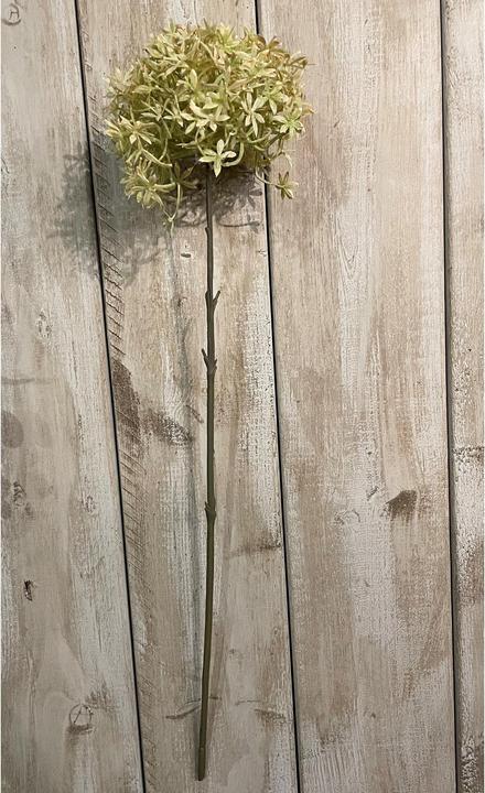 Actual product image Hill Interiors Allium Stem Artificial Flower (63 cm)