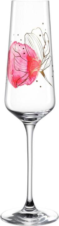 Leonardo Champagne glass Presente 220 ml, 1 piece, Transparent (22 cl, 1 Glasses, Champagne glasses)