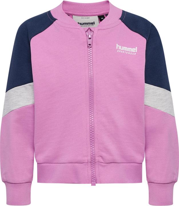 Actual product image hummel Hmlmini Loose Block Zip Jacket (92)