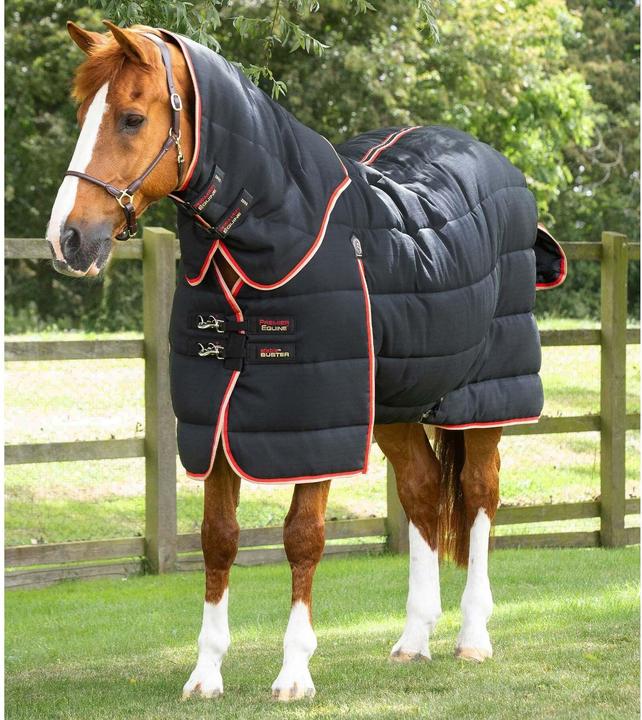 Immagine prodotto Premier Equine Stable Buster 200g