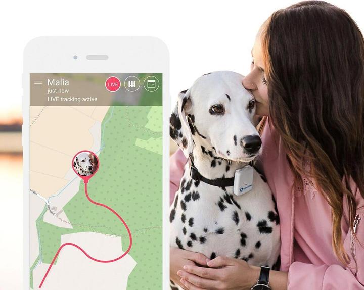 Actual product image Tractive GPS Pet Tracker (One size, Dog, Cat, Walks)