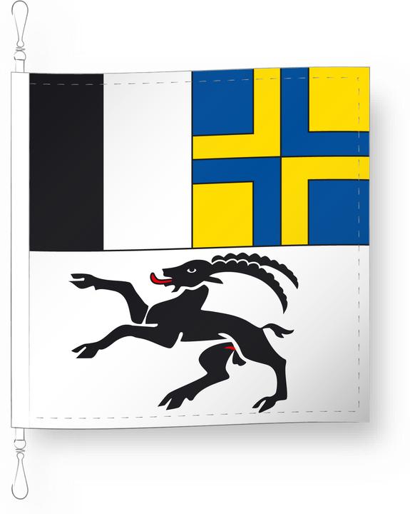Actual product image Alpenfahnen Grisons (50 x 50 cm)