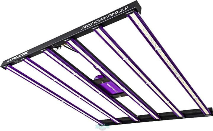 Actual product image