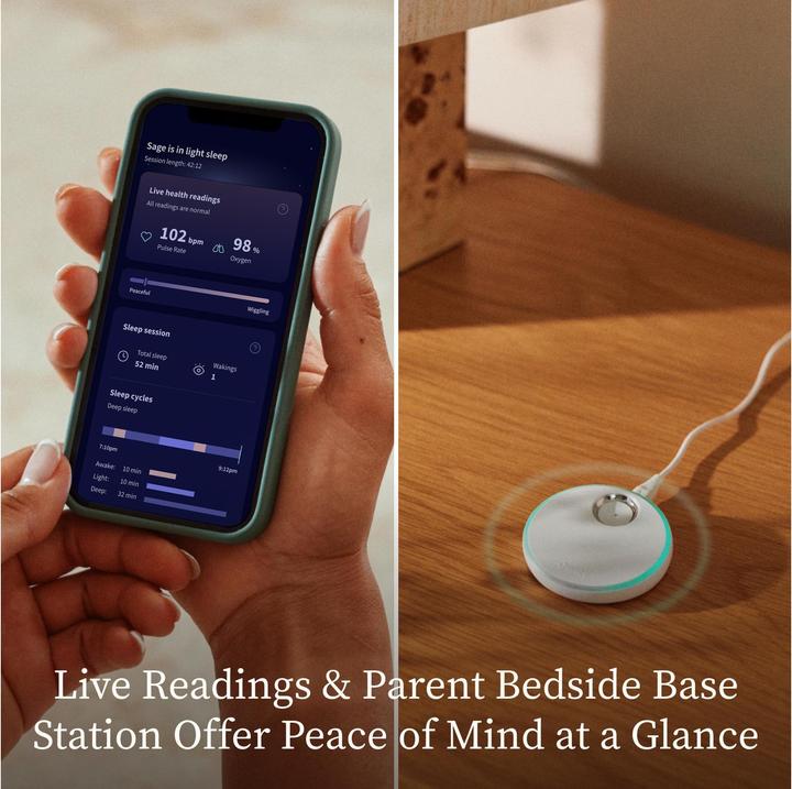 Actual product image Owlet Dream Sock (Baby Monitor Audio, 50 m)