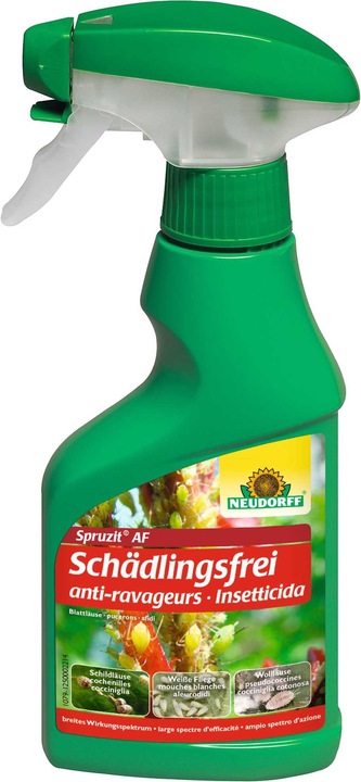 Actual product image Neudorff Spruzit AF pest free (Harmful insects)