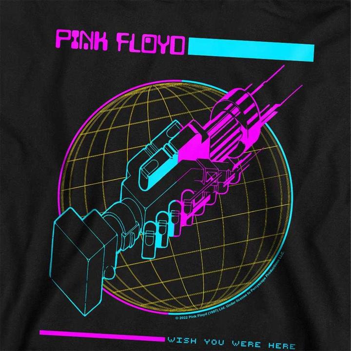 Produktbild Pink Floyd Wish You Were Here Kapuzenpullover (116)
