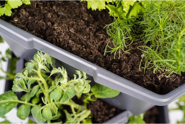 Produktbild Paul Potato 3 Etagen