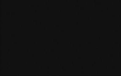 Actual product image Ursus Floral silk (20 g/m², 6x)