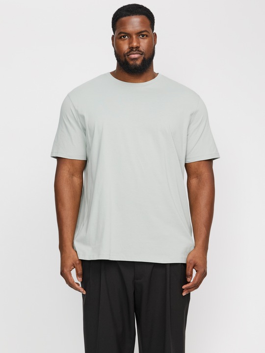 Produktbild Jack & Jones Jjeorganic Basic Tee Ss O-Neck Noos Pls (4XL)
