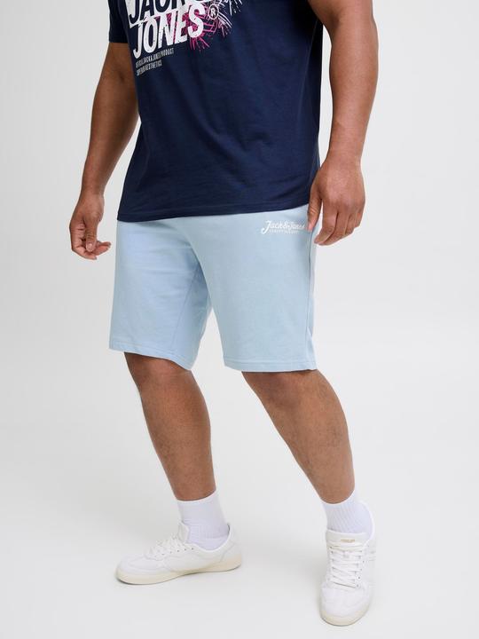 Produktbild Jack & Jones Plus Size Regular Fit Regular Fit Shorts Regular Fit Shorts (48)