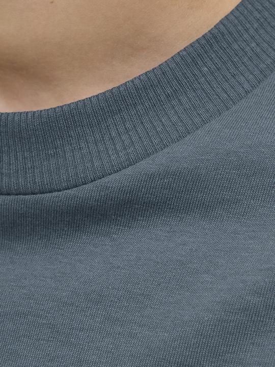 Actual product image Jack & Jones Jjecaleb Varsity Tee Ss O-Neck Noos Jnr (140)