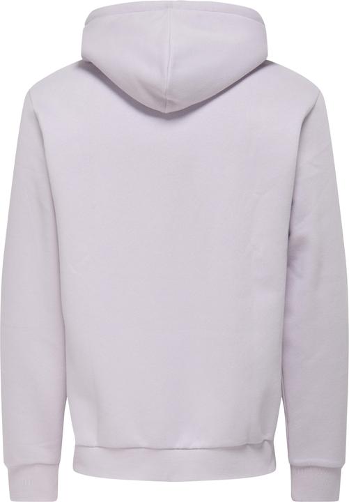 Produktbild Only & Sons Onsceres Hoodie Sweat Noos (L)