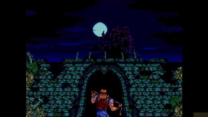 Actual product image Konami Castlevania - Anniversary Collection (PS4, EN)