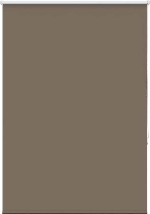 Coffee brown