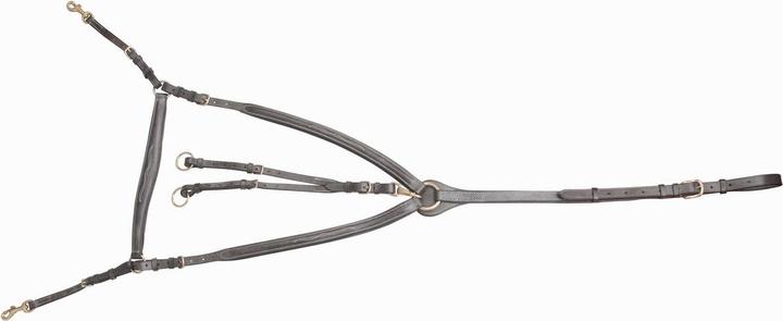 Brown, La Havane Noire