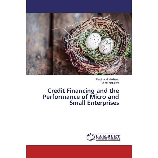 Credit Financing and the Performance of Micro and Small Enterprises, Fachbücher