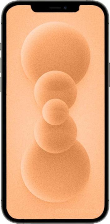 Immagine prodotto Re!commerce iPhone 12 Pro (128 GB, Oro, 6.10", 12 Mpx, SIM + eSIM, B / Molto buono)