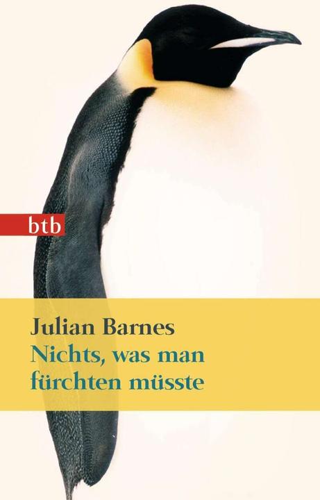 Produktbild Nichts, was man fürchten müsste (Deutsch, Julian Barnes, 2013)