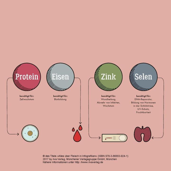 Produktbild Alles über Fleisch in Infografiken (Deutsch, Daniel Wiechmann, 2017)