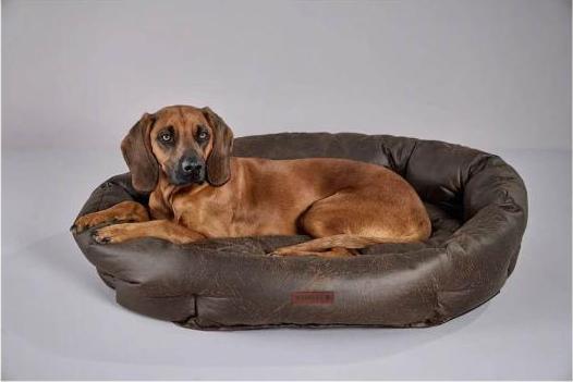 Actual product image Wolters Vintage (Dog)