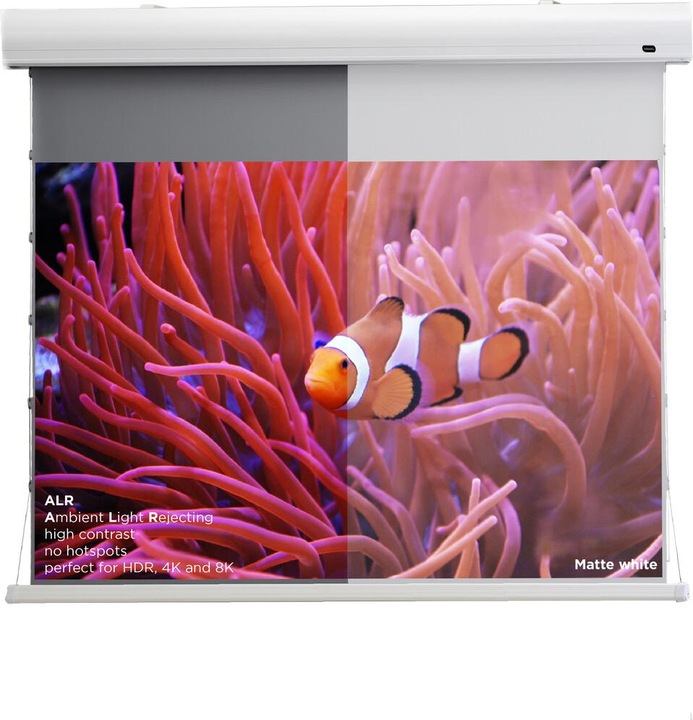Produktbild Celexon Tension-Leinwand HomeCinema Dynamic Slate ALR 221x124cm 16:9 (100", 16:9)