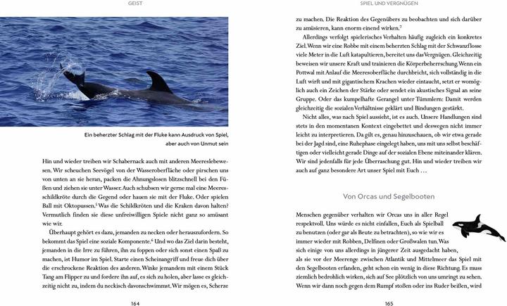 Immagine prodotto Wir Wale (Tedesco, Cavaliere Fabian, 2025)