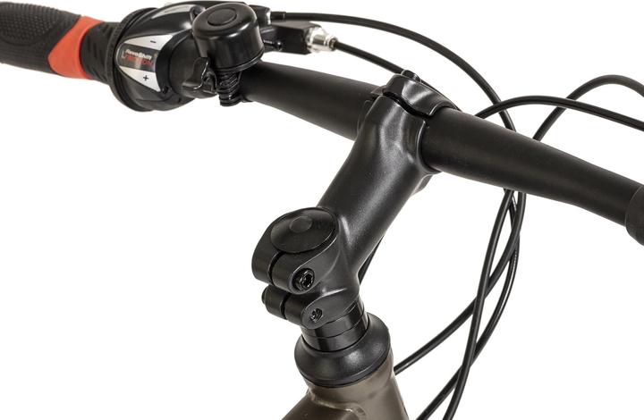 Actual product image Wyld Mountainbike Hardtail 29" Sharp Scheibenbremse platin-grau 21 Gänge (46 cm)