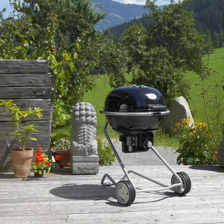 Immagine prodotto Rösle F60 Aria (60 cm)