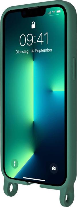 Actual product image Artwizz HangOn Case (Apple iPhone 13 Pro)