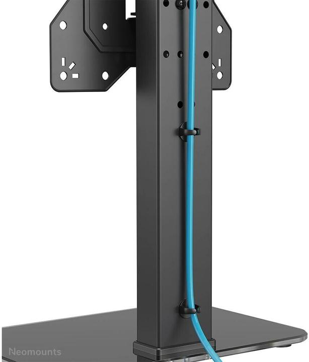 Actual product image Neomounts DS45-430BL12 (43", 40 kg)