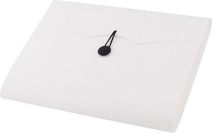 Actual product image Leviatan Folder A4 white 12 compartments (A4, 1x)