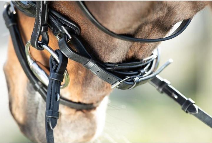 Image du produit HFI Master Shiny