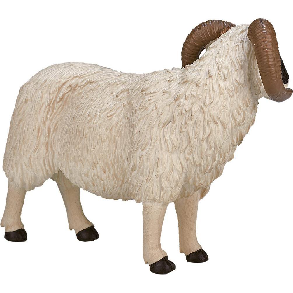 Thumbnail - Mojo Schafbock