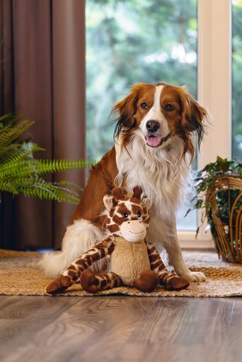 Image du produit Beeztees Hundespielzeug Giraffe (Jouet en peluche chien)