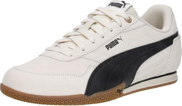 Bianco, Nero, Neve alpina, Puma Nero