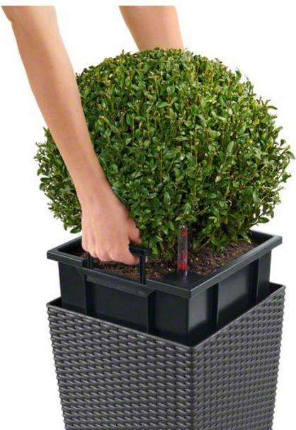 Produktbild Lechuza Cube Cottage 30 (29 x 29 x 30 cm)