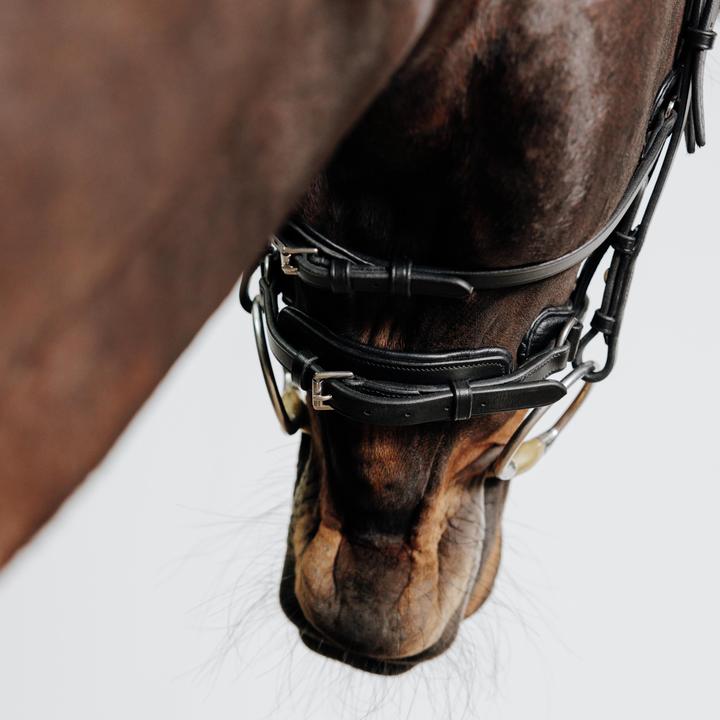 Immagine prodotto Fouganza Pelle di cavallo/pony Snaffle