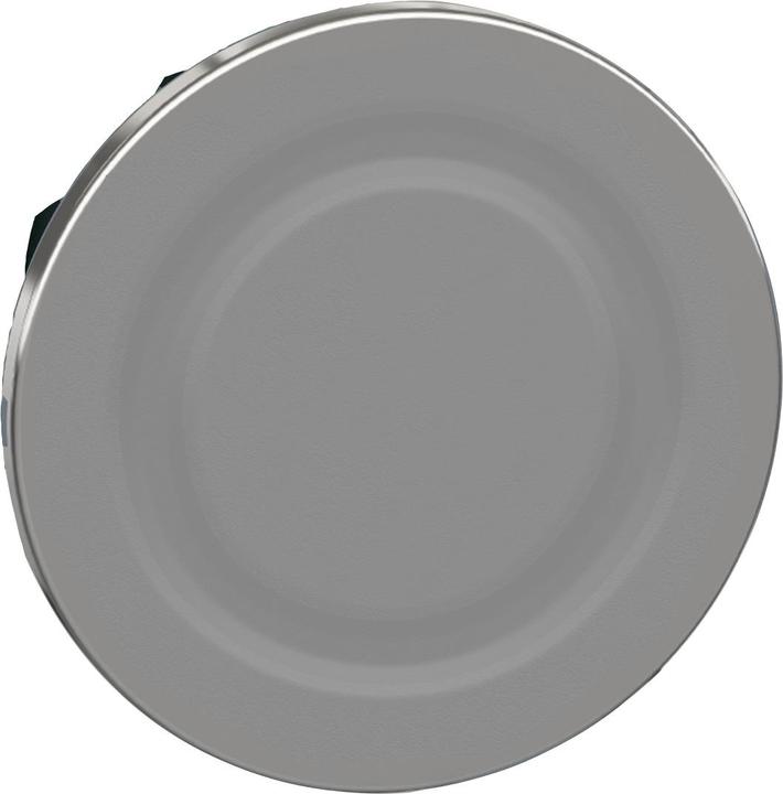 Actual product image Schneider Electric Blanking plug, front element, flat ZB4FSZ3